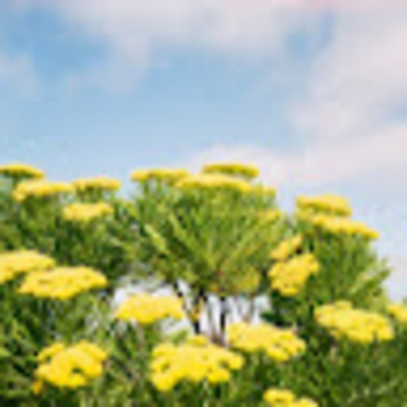 Meet your Posher, Katy - Picture 1 of 1